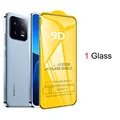 1 Glass Protector