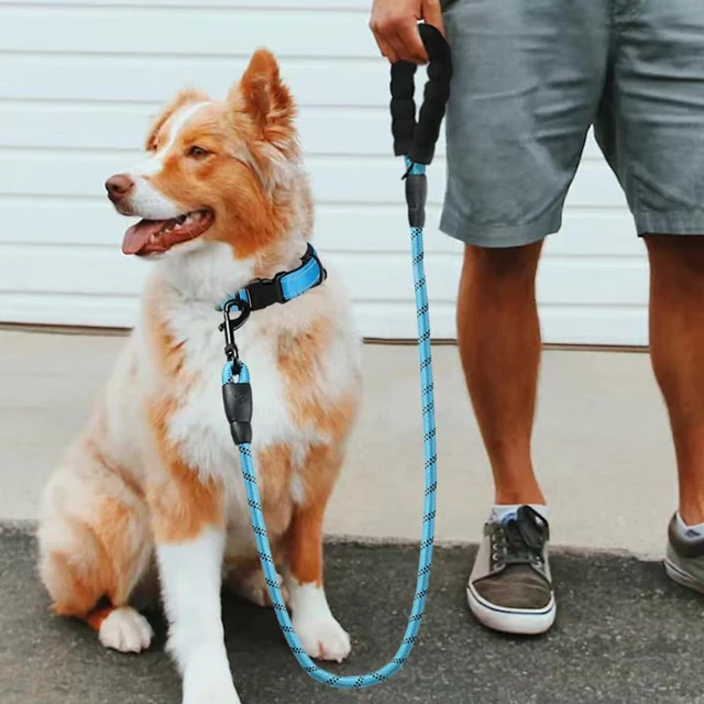 3M Reflective Dog Leash With Comfortable Padded Handle Double Heavy Duty Traction Rope  for Dogs Suitable Small to Large Dogs 2