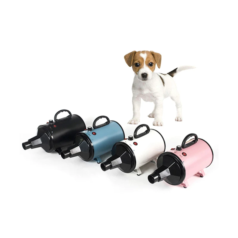 Asciugacapelli Silenzioso Secador Fast Cat Blaster Asciugacapelli Potente Vento Caldo Asciugacapelli Per Cani Grooming Water Blower Accessori Per Anim