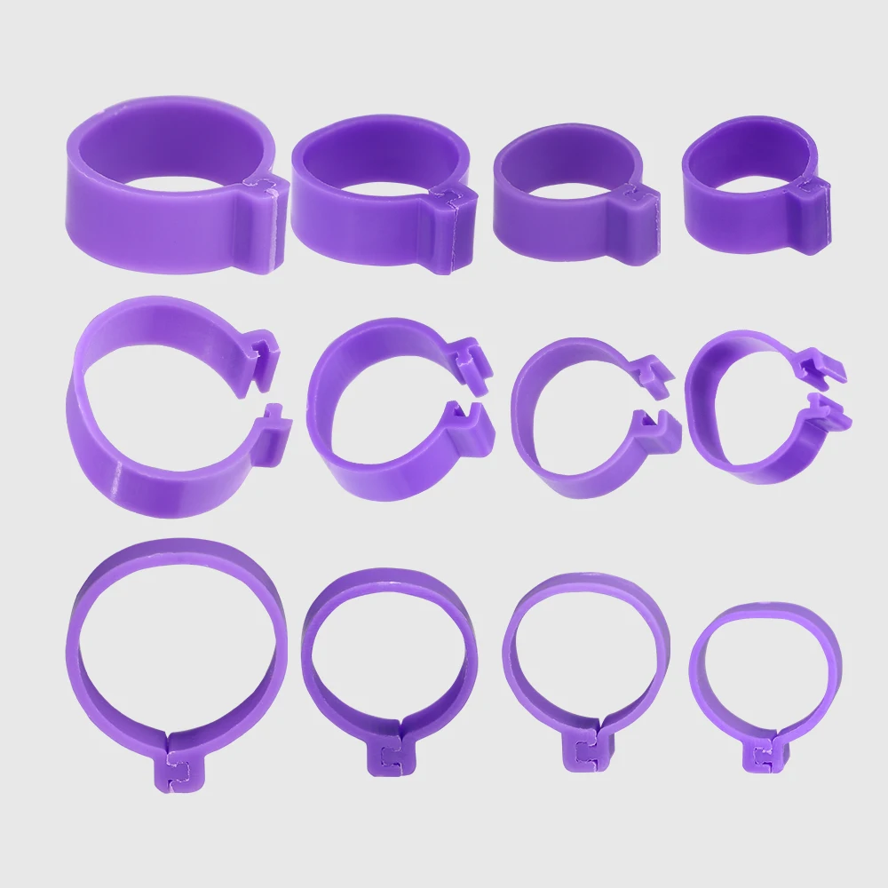 60PCS 6 색 치킨 오리 다리 반지 거위 동물 식별 도구 16/18/20/25mm 발 빈 레이블 버클 밴드 클립 온 반지