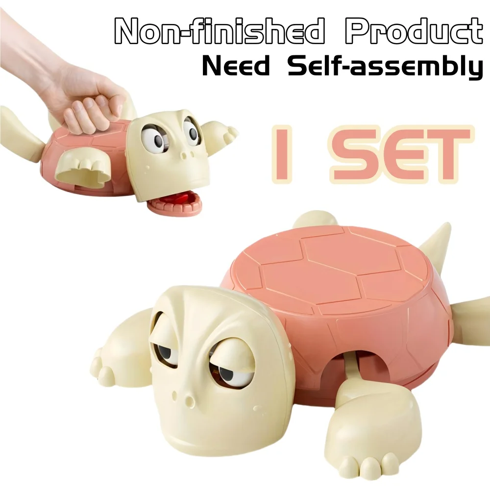 كوستر السلحفاة اللطيف