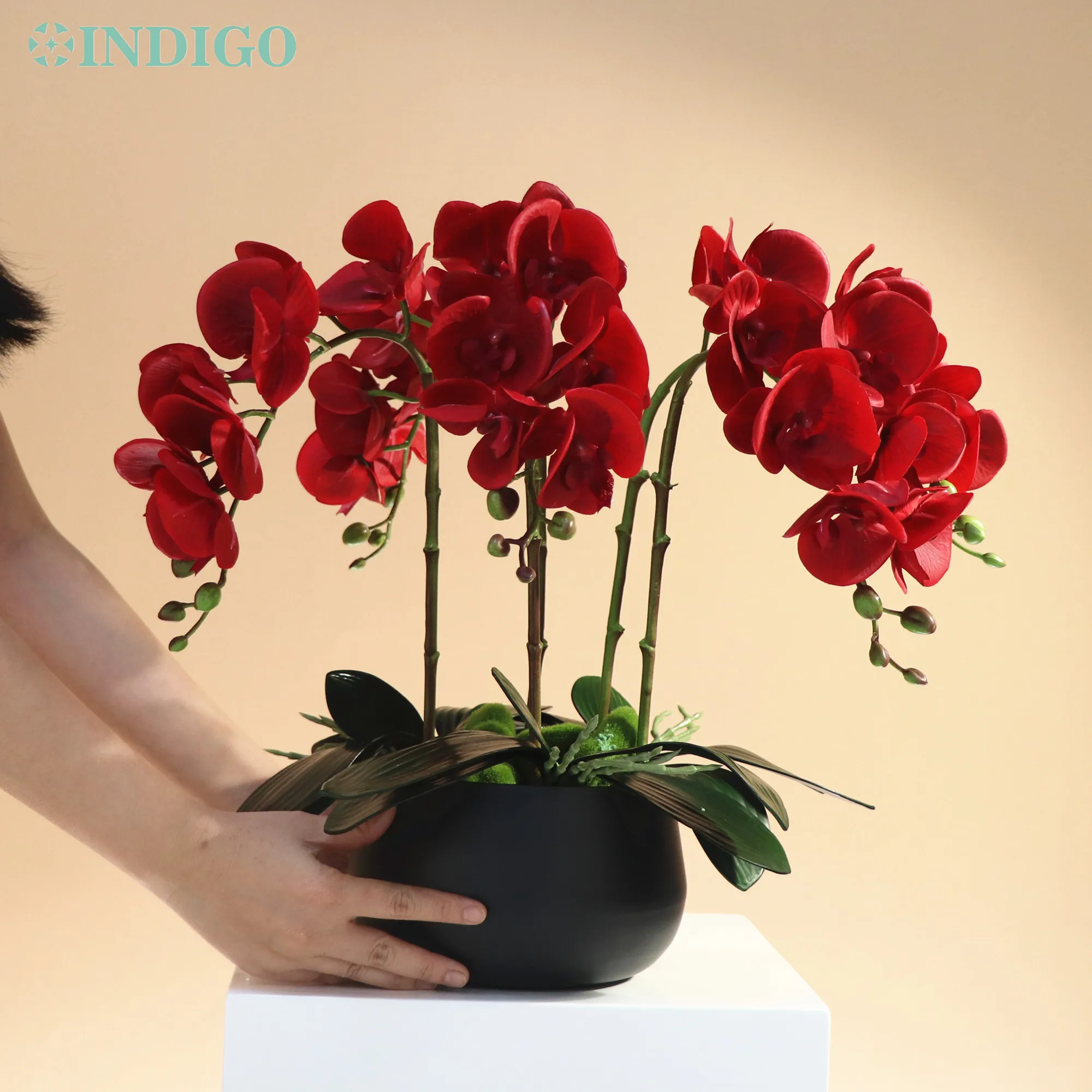 Transformación de Orquídeas en Joyas Únicas, image size:2000x2000