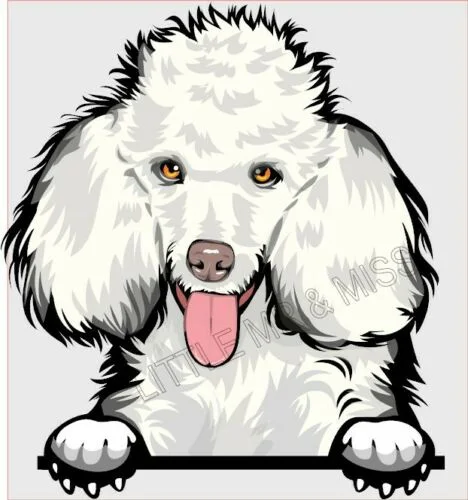 For POODLE Standard Peeking Dog Breed Color Window Wall Laptop Sticker w/proof