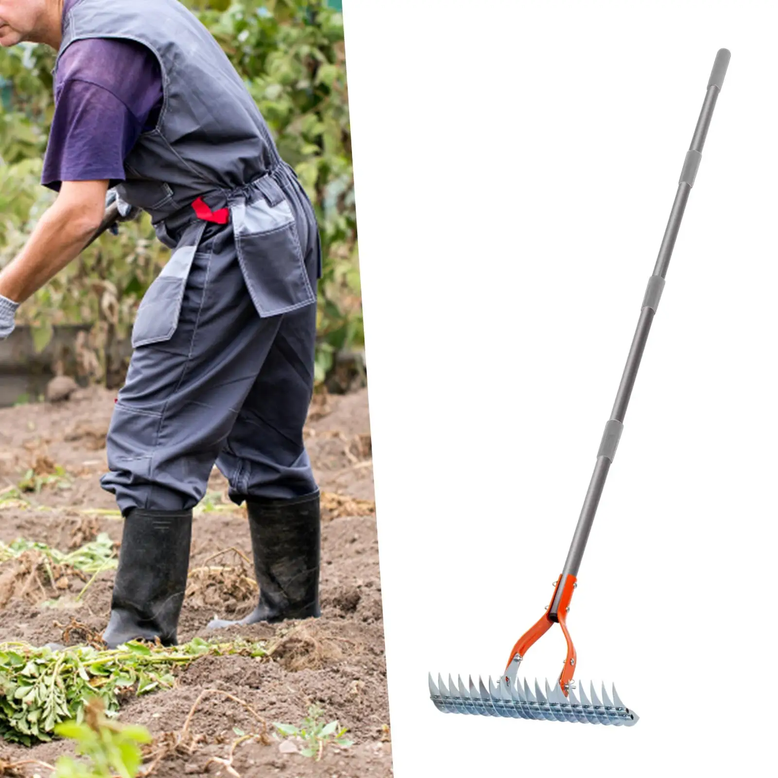 Thatch Rake Adjustable Rake Head Steel Dethatching Rake for Cleaning Grass Dethatching Lawn Grass Grooming Loosening Soil