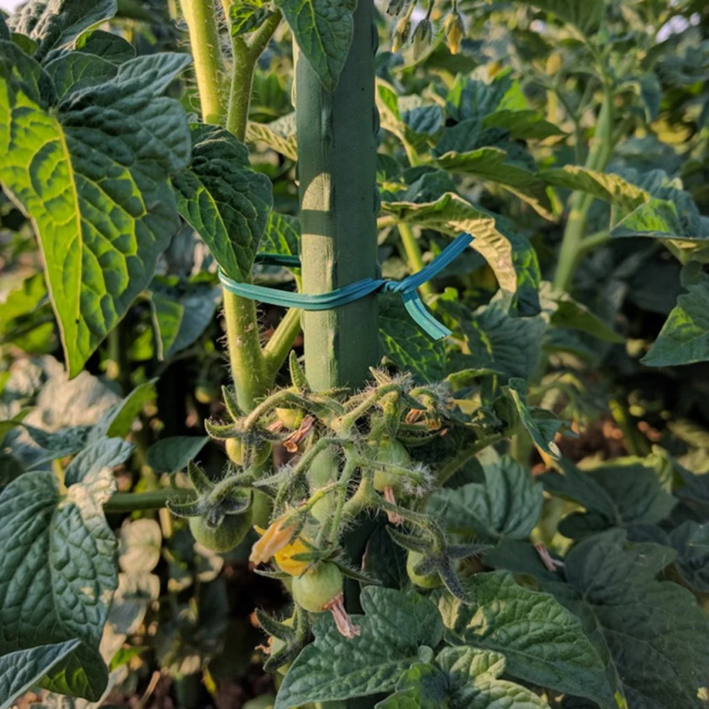 Gardening Vine Climbing Plants Cable Tie Lines 100pcs Plant Parts Flower Cucumber Grape Rattan Supports