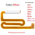 A12 13 04S 146BWhite