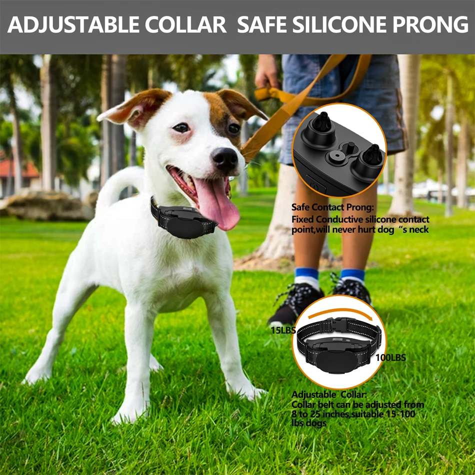 Are Electronic Dog Collars Safe