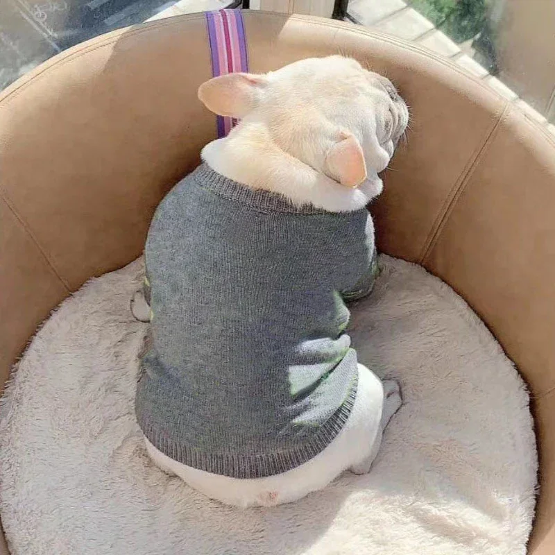 

Осенне-зимний яркий теплый свитер для чихуахуа с цветочным рисунком для детской одежды PC1154