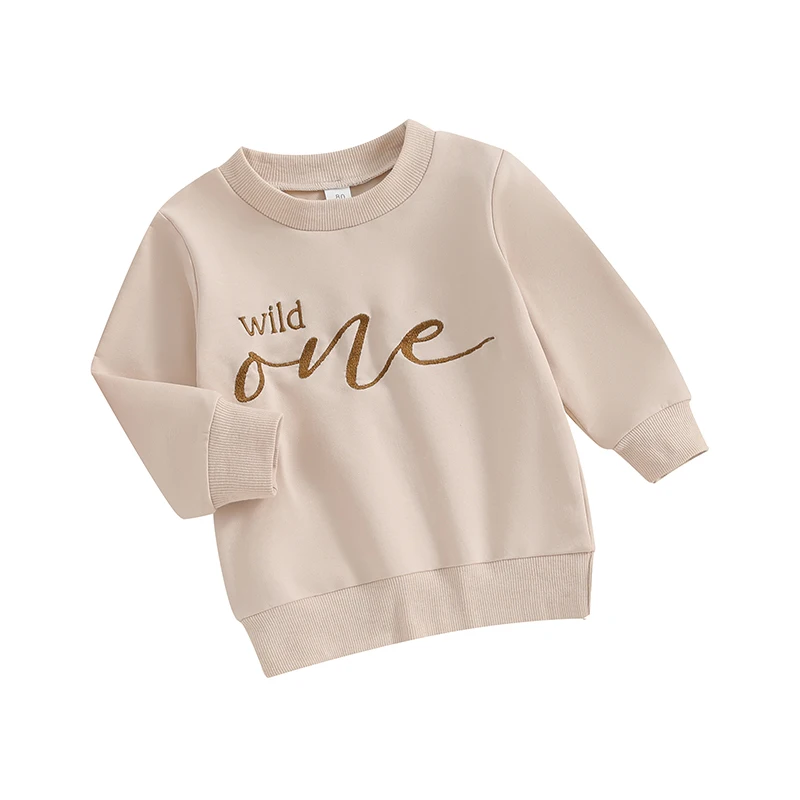 Infant Baby Boy Warm Sweatshirt Long Sleeve Round Neck Letter Embroidery Pullover Crewneck Shirt Tops for Winter Fall Clothes