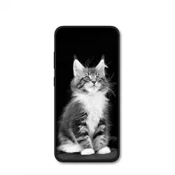 Adorable Kitten Cat Phone Case - Motorola Moto G9 Power (1)
