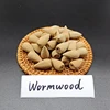 WORMWOOD