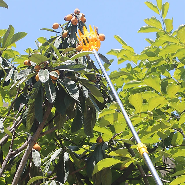 1Pc High-altitude Plastic Fruit Picking Tool Garden Orchard Field Basket Fruit Picker Head Apple Pear Peach Lemon Fruits Picking 4