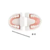 1pcs Cheap Standard Dental Model Teeth Teaching Model Plastic Teeth Model For Dentist Dental Students Studying Education Display 6