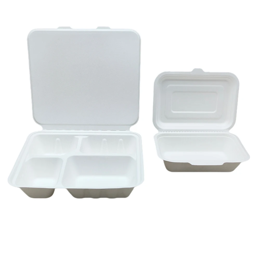 Food Container Disposable Biodegradable  Biodegradable Take Containers -  10/20/30pcs - Aliexpress