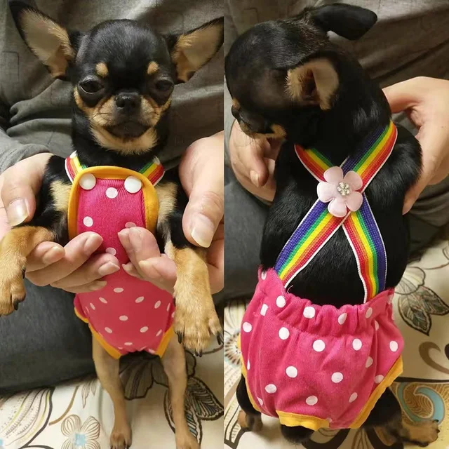 Dot Denim Dog Female Shorts Pants for Small Medium Dogs Chihuahua Pinscher Physiological Panties mascotas Underwear Accessories