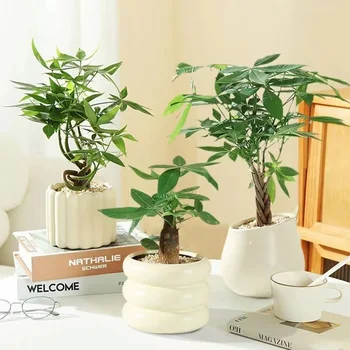 INS Ceramic Pots for plants Flower Vases Home Decoration Indoor Succulent Plant Potted Desktop Ornament Coffee Shops Plant Pot