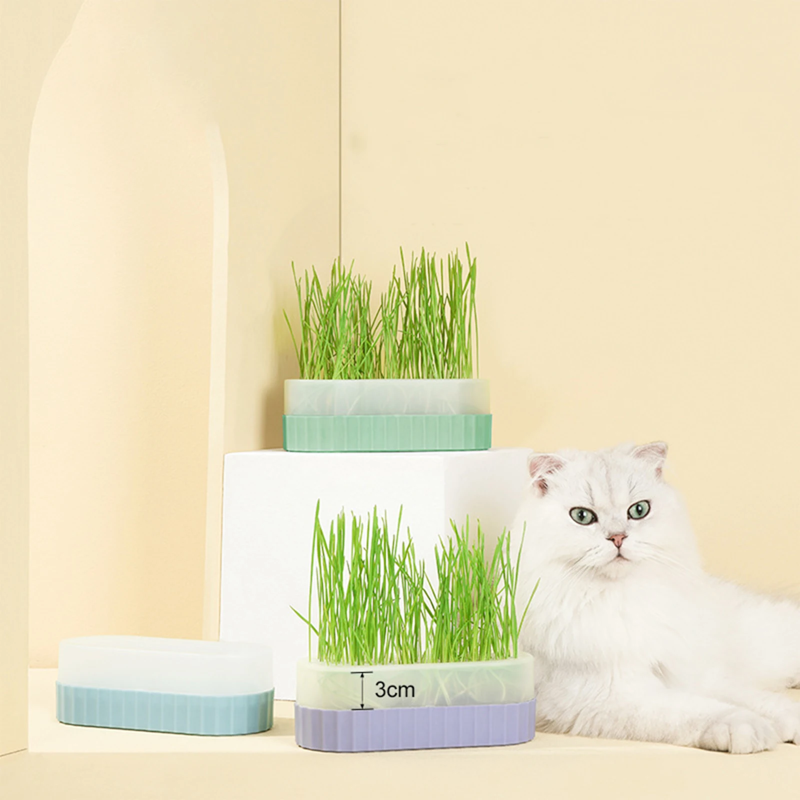 Boîte de culture de germes avec couvercle, boîte de culture de blé et d' herbe à chat, conteneur de germes pour animaux de compagnie, kit de boîte  de culture de volaille - AliExpress