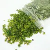 33ml Micro Landscape Leaves Sand Table Diorama Grass Tufts Accessories Miniature Leaf Static Model for Bonsai Fairy Garden Decor 3