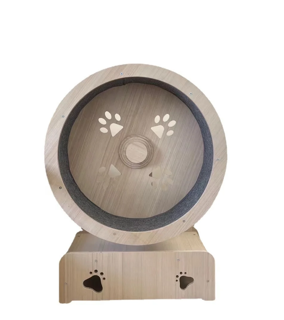 Modern and Fashionable Pet Running Treadmill Eco-Friendly Cat Exercise Wheel Lovely and Simple Style Lifelike Design