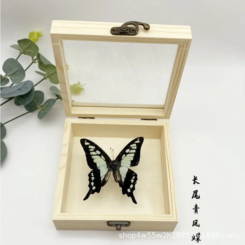 Real Butterfly Specimen,Frame,Butterfly Display Box,Set Up Stage for Children's Education,Popularization of Science,BirthdayGift 6