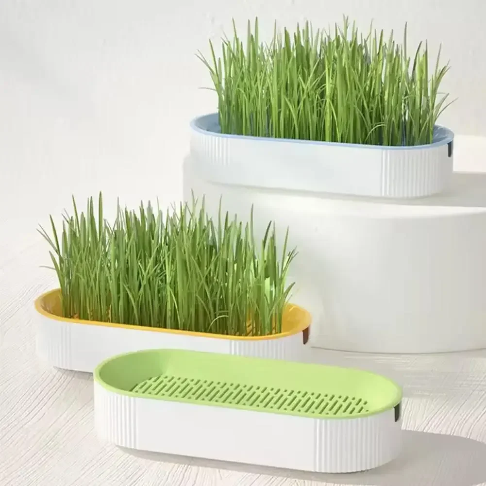 Hydroponic Cat Grass Kit - Easy-Grow Indoor Cat Treats & Healthy Snack Box