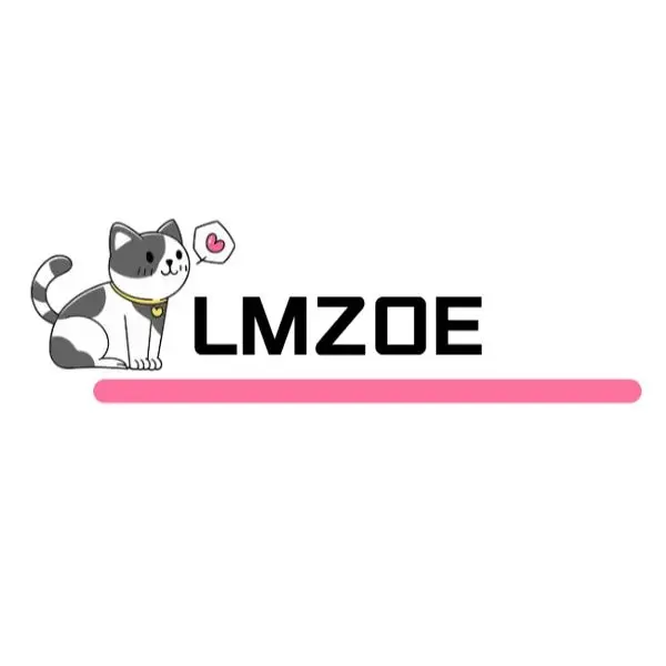 LMZOE Store
