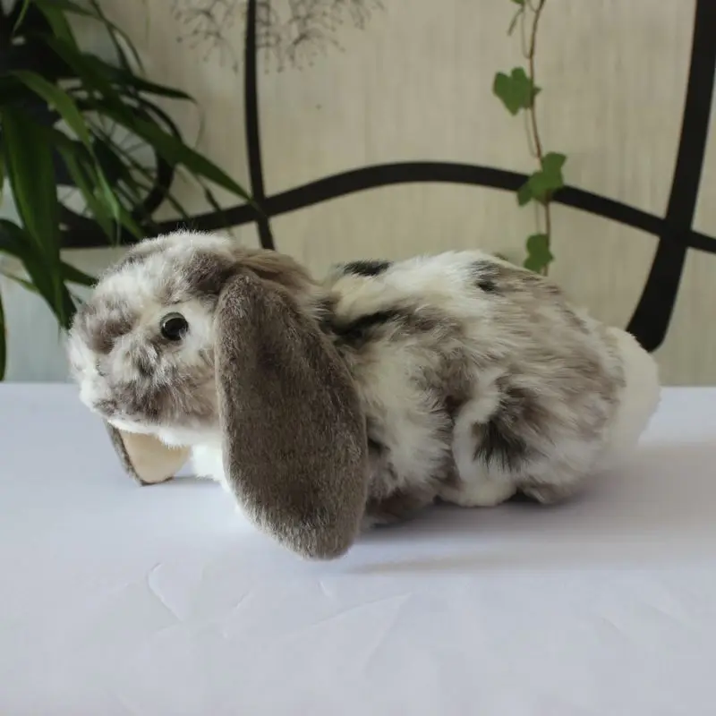 

gift model Ringed seal simulated seal bunny rabbit