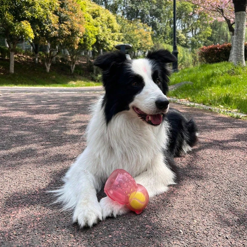 Dog Chewing Toy Tennis Ball Bear Toy Squeak Pet Toy Fun Puppy Sounding Toy Pet Bite Resistant Molar Toy Pet Supplies 5