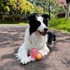 Dog Chewing Toy Tennis Ball Bear Toy Squeak Pet Toy Fun Puppy Sounding Toy Pet Bite Resistant Molar Toy Pet Supplies 5