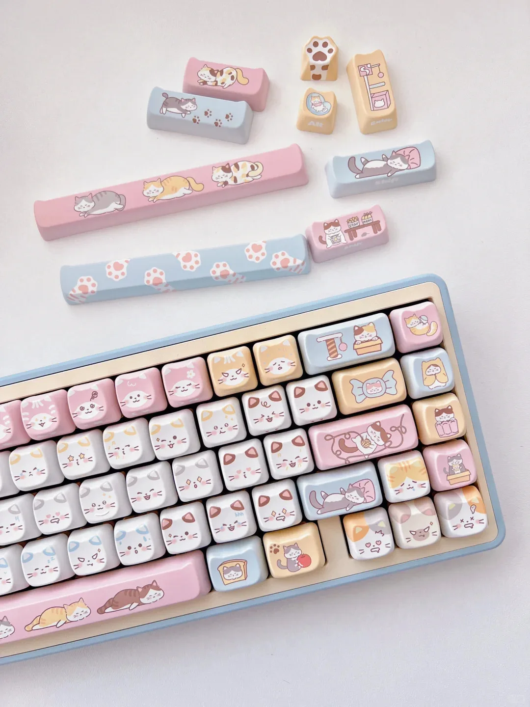 Cute Meow Perfil, PBT Praça Key Cap,