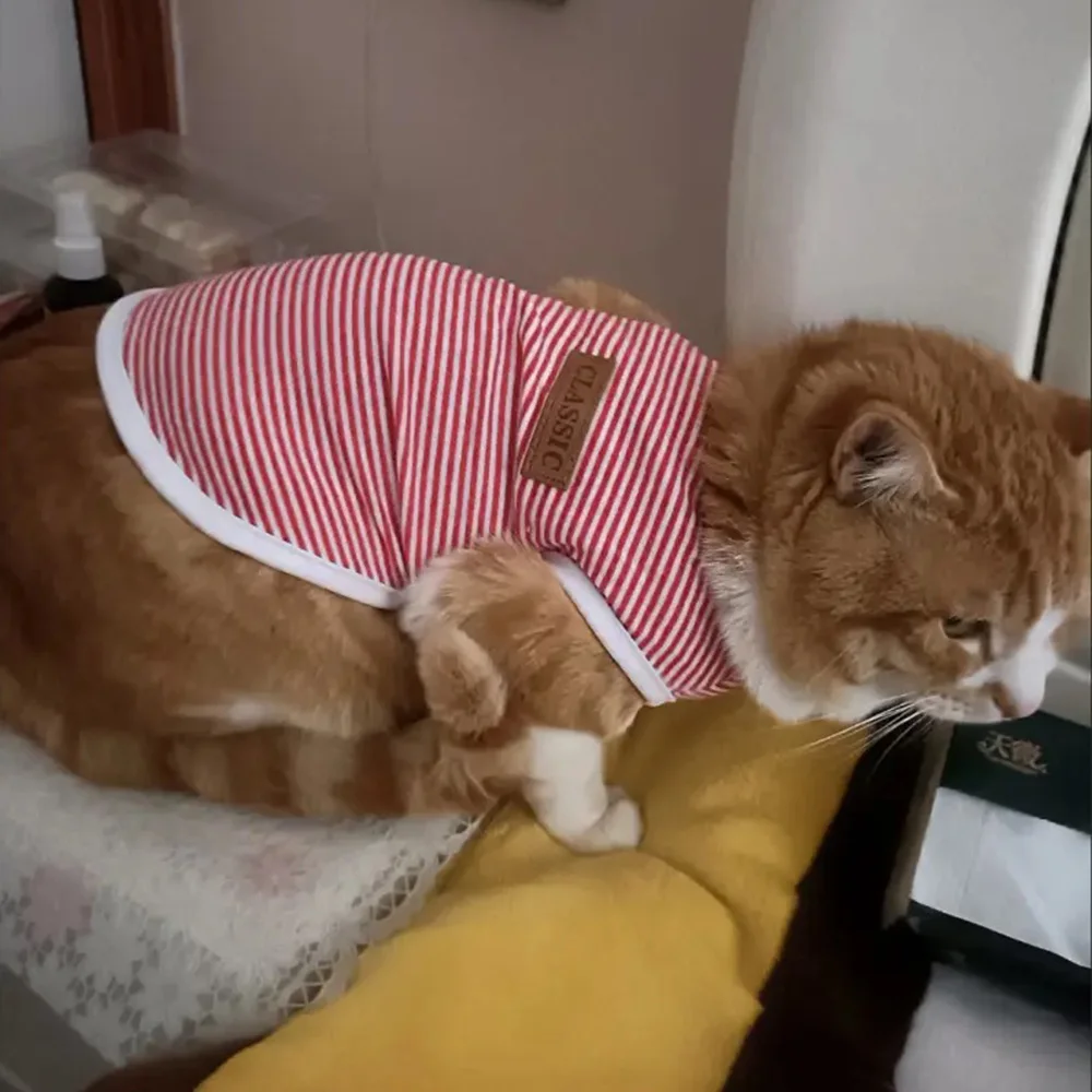 Pet Clothes Summer Cotton Vest Pet Sleeveless T-shirt for Small Dogs Cats Kitten