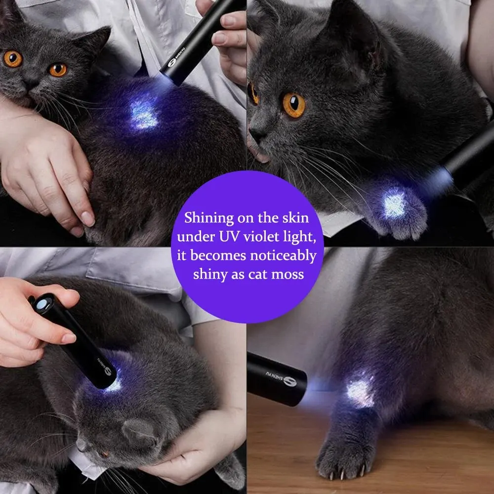 Pet Detection Light 1PC Cat Moss UV Fluorescent Black Mirror Fungus Detection Veterinary Professional Equipment