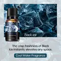 Black Ice
