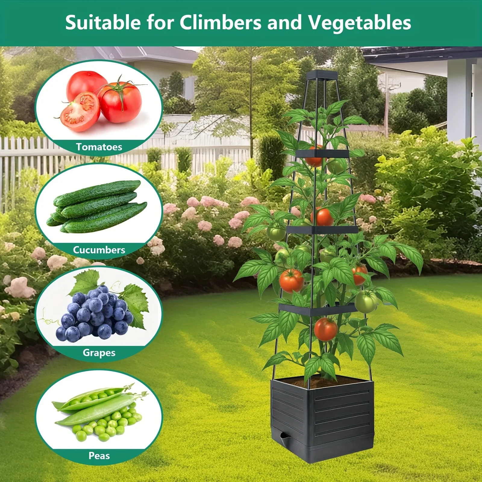 Tomato Cage Planter Box with Self Watering System and Grid Support 4