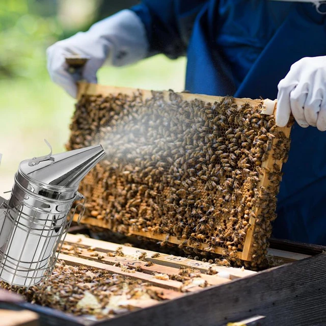 Fumoir de ruche pour abeilles, boîtes en acier inoxydable avec bouclier  thermique pour apiculture - AliExpress
