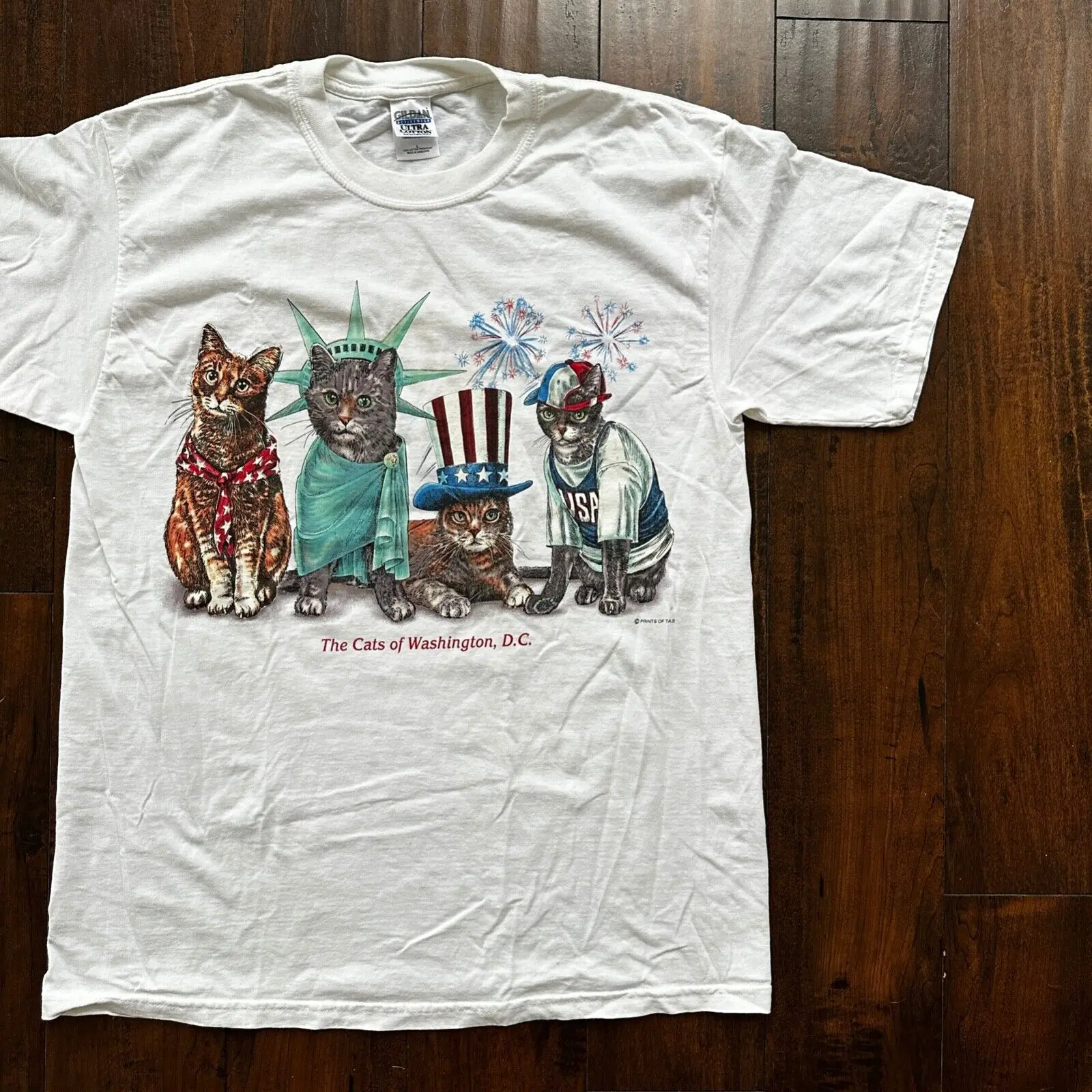 Gatti Statua Della Libertà Maglietta Vintage Fuochi D'Artificio Forth July Butts Simpatici Animali
