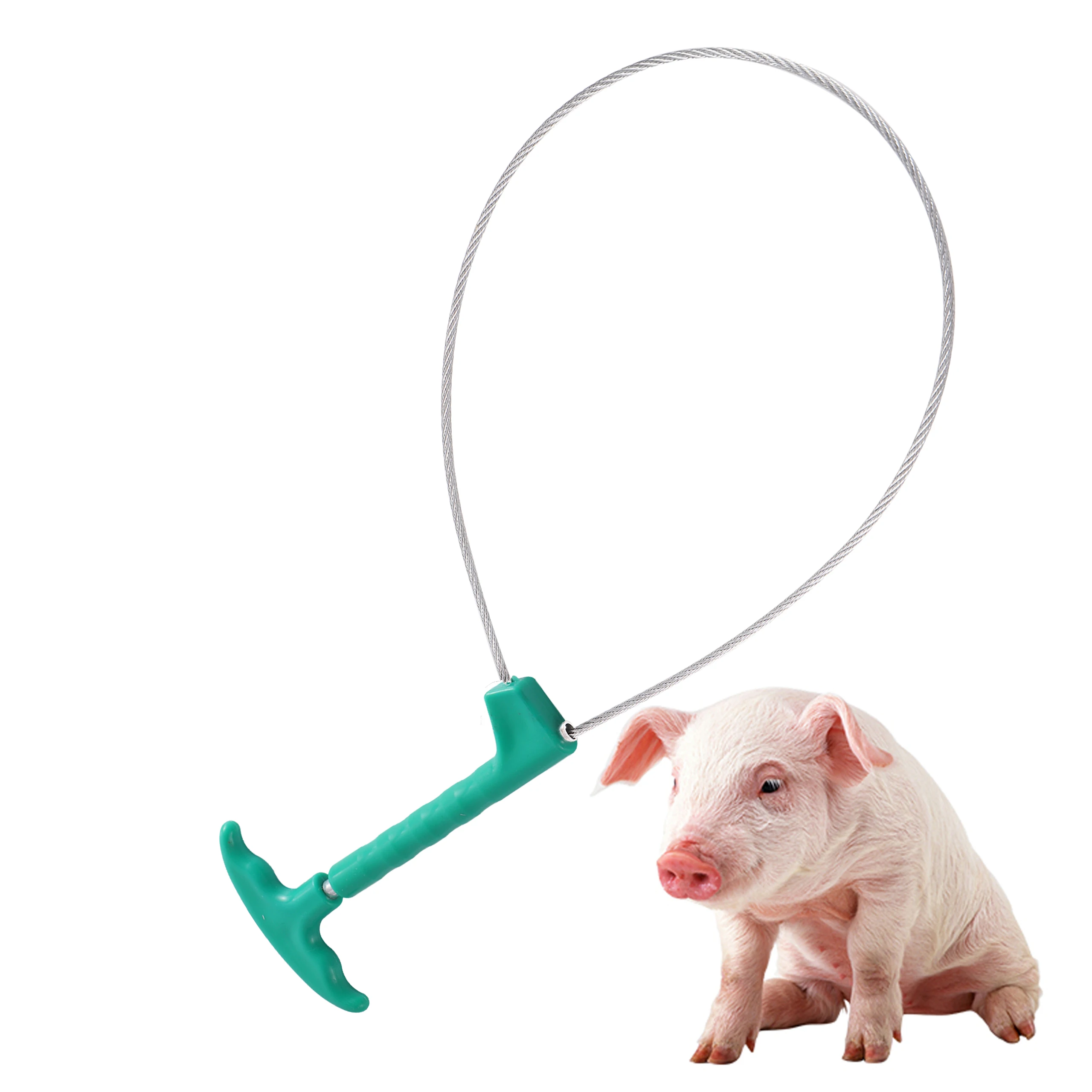 1 Pcs Pig Baoding Set Pig Fixed Rope Wire Ropes Sleeve Stockbreeding Tool Domestic Animal Mouth Set Veterinary Equipment 4