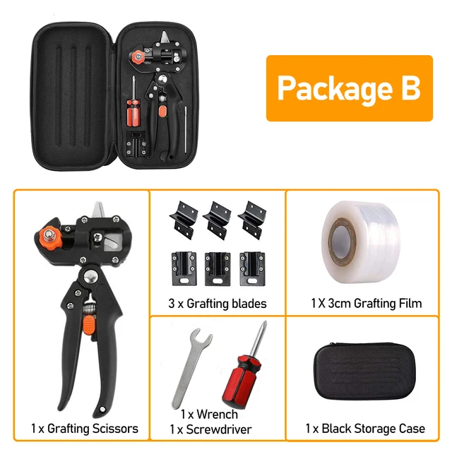 Package B (Black 01)