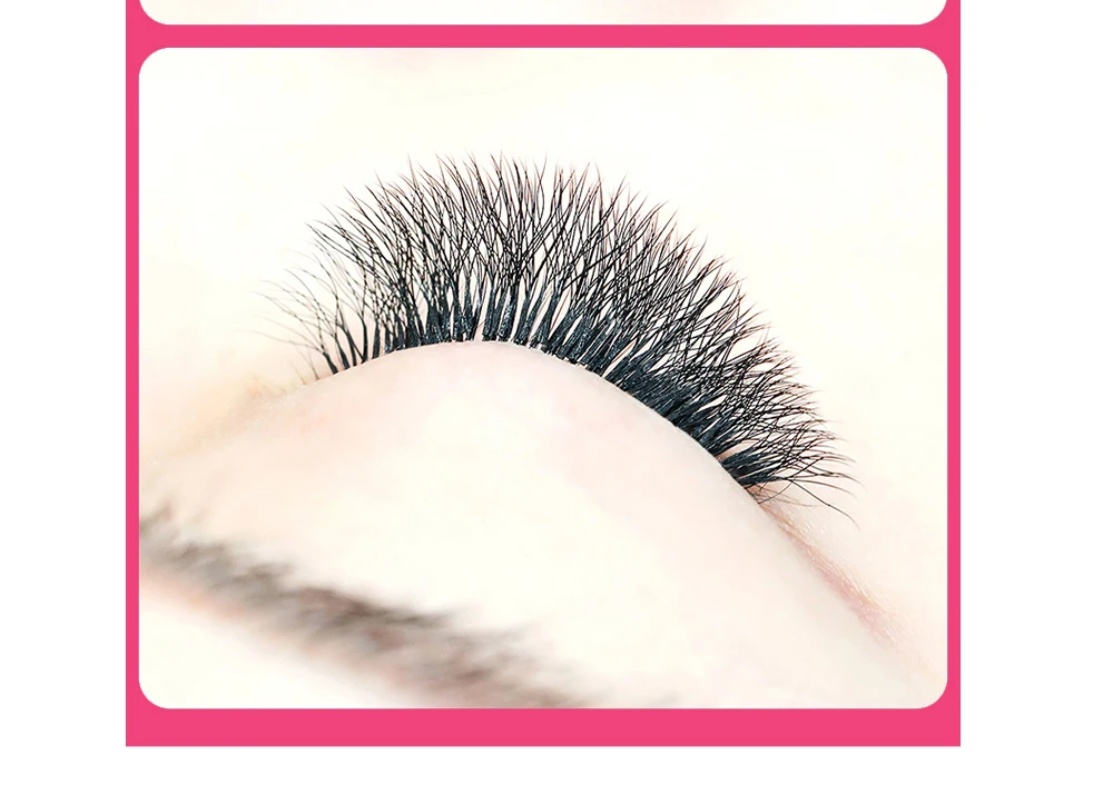 Goddess 4D W Shape Lashes W Eyelash Extensions Natural Soft Individual Lashes Handmade Premade Volume Fans Cilios W Goddess 4D W Shape Lashes W Eyelash Extensions Natural Soft Individual Lashes Handmade Premade Volume Fans Cilios W