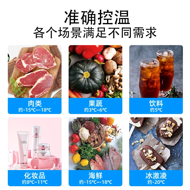 15L Compressor Portable Small Cooling Mobile Car Fridge Freezer Refrigerator Party for Camping Hiking