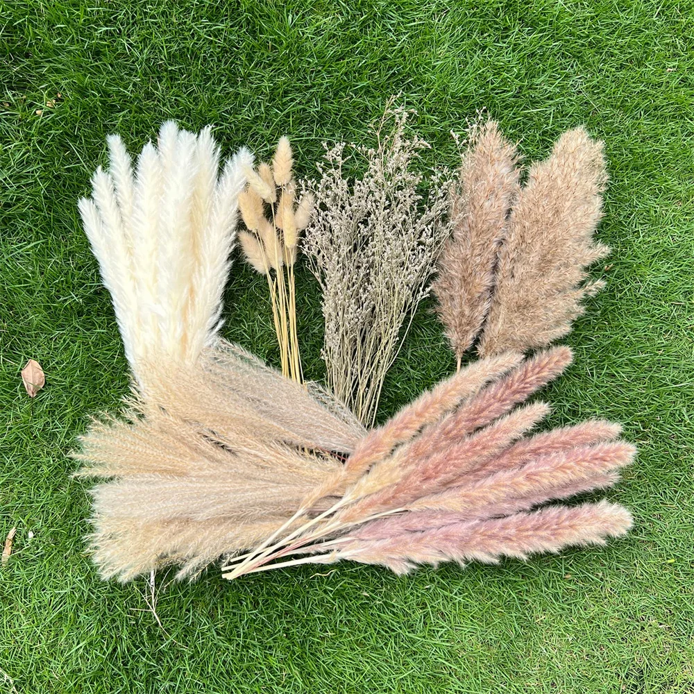 

Pampas Grass Home Decor Natural Dried Flowers Bunny Tails DIY Boho Wedding Arch Arrangement Farmhouse Bathroom Decoration