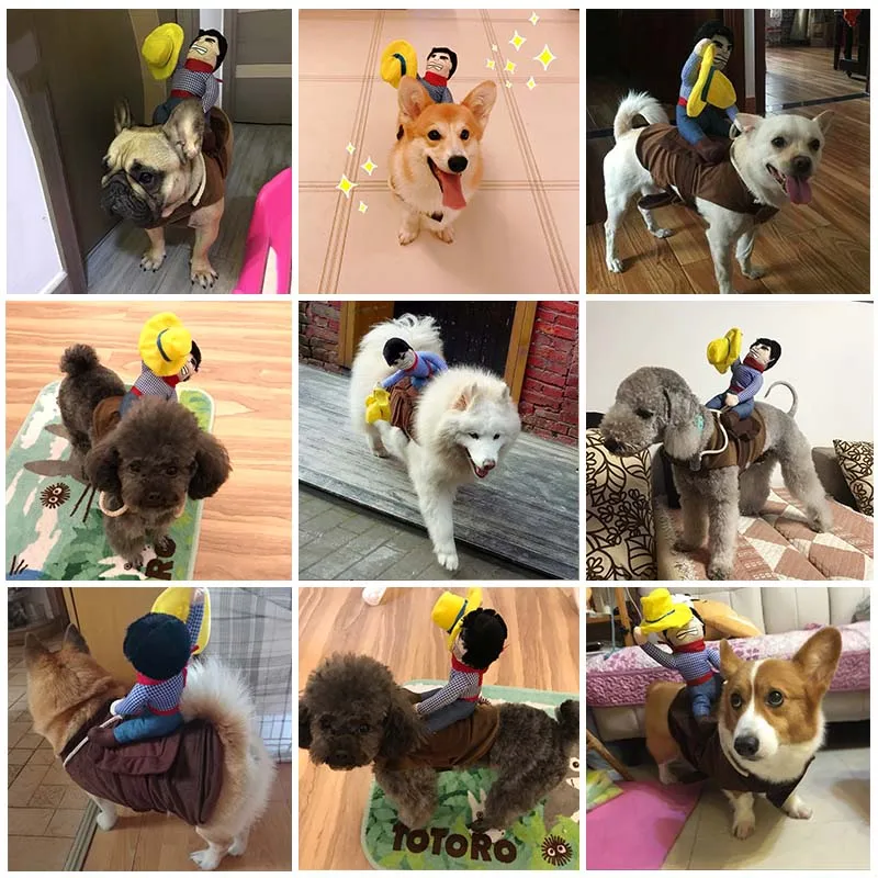 Cowboy Dog Costume