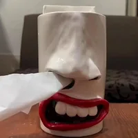 Handmade Funny Face Tissue Holder Funny Funny Nose Draw Tissue Box Quirky Nose Resin Tissue Box Bedroom Desktop Ornament Gift 1
