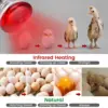 1PC Poultry Infrared Heat Lamp Waterproof Anti-Explosion Thickened Light Bulbs ​For Piglet Chicken Duck Birds E27 Heating Lamp 2