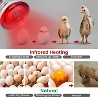 1PC Poultry Infrared Heat Lamp Waterproof Anti-Explosion Thickened Light Bulbs ​For Piglet Chicken Duck Birds E27 Heating Lamp 2
