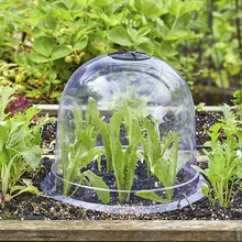 

10" Plant Bell Cover Dome Anti-freeze Transparent Protector Cover Mini Greenhouse Outdoor Garden Plant Protect