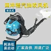 Four-stroke 850 Gasoline Blower High Power Backpack Winter Snow Blower Wind Extinguishing Leaf Road Blower 75.6 CC 4