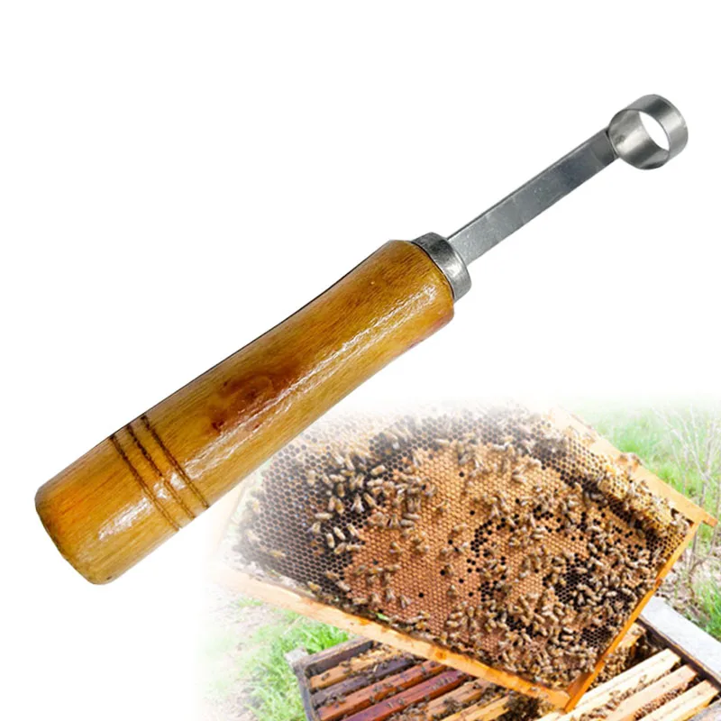 1Pc No-graft Queen Rearing Kit Comb Foundation Cutter Queen Bee Rearing Bee Extractor Tool Cutting Beehive Beekeeping Equipment