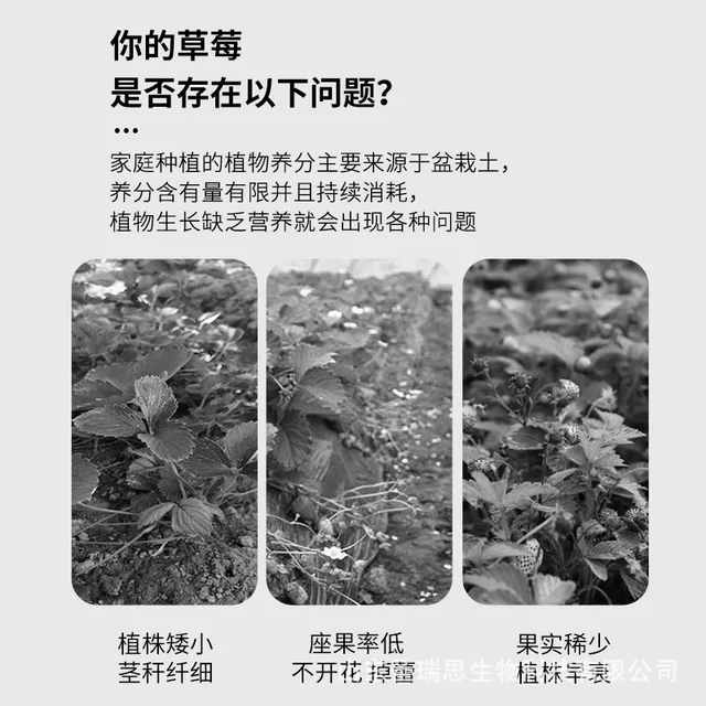 Eper Speciális Műtrágya Beltéri Zöld Növény Szerves Probiotikumok Általános Összetett - Image 5