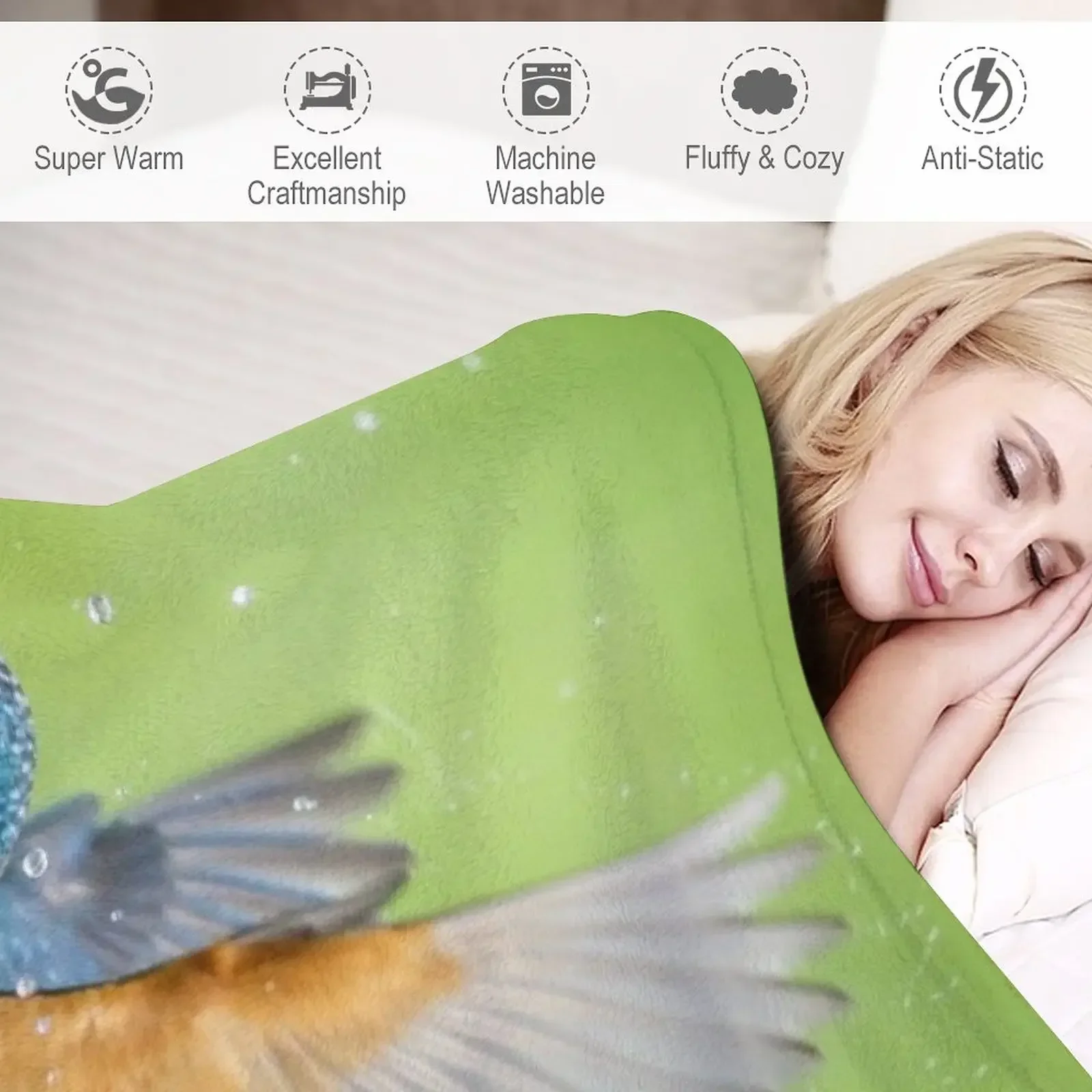 Kingfisher ������ ������ ���, ķ�� ���� ������ ���